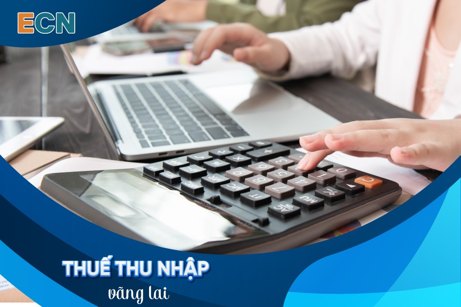 Quy định về thuế thu nhập cá nhân vãng lai